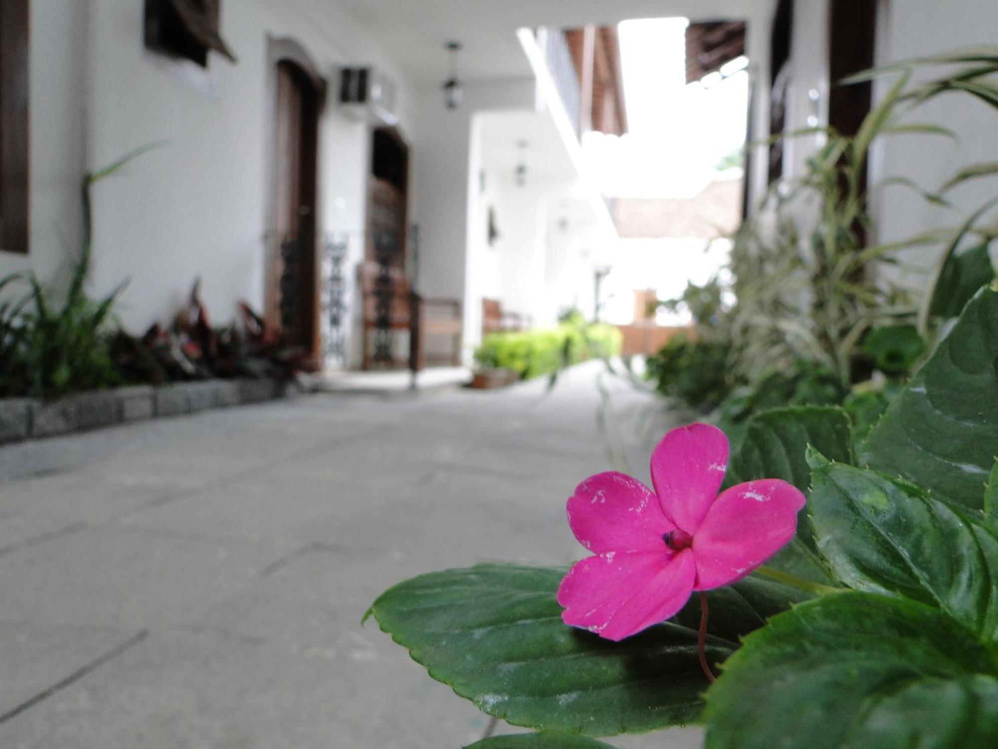 Pousada Doce Paraty Exteriér fotografie
